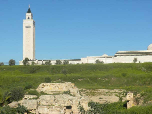 Grand Mosque of Carthage in back ground; in foreground early Christian religious site (4th century AD) where St. Augustine lived and work. The mosque was paid for by Ben Ali, after whom it was originally named. The day that Ben Ali fled the country his name was removed