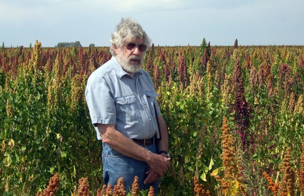 JohnMcCammant in his quinoa field in Mosca, Colorado (near Alamosa)