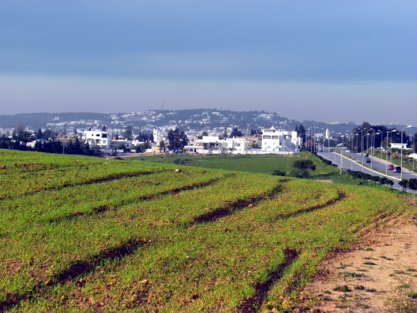 Amilcar, Tunisia, not far from La Marsa where Dan Cetinich lived as a Peace Corps volunteer